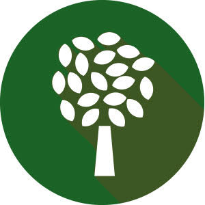 de arbol icon